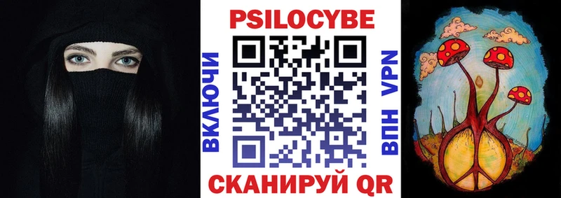 Псилоцибиновые грибы Psilocybe  Купить  Куса 
